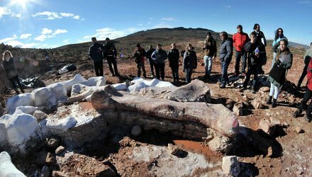Кладбище динозавров обнаруженное в Аргентине